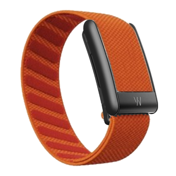 Orange Superknit Band With Black Hardware 5.0