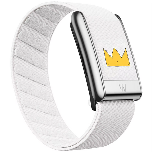 Crown Band With Chrome Silver Hardware 5.0